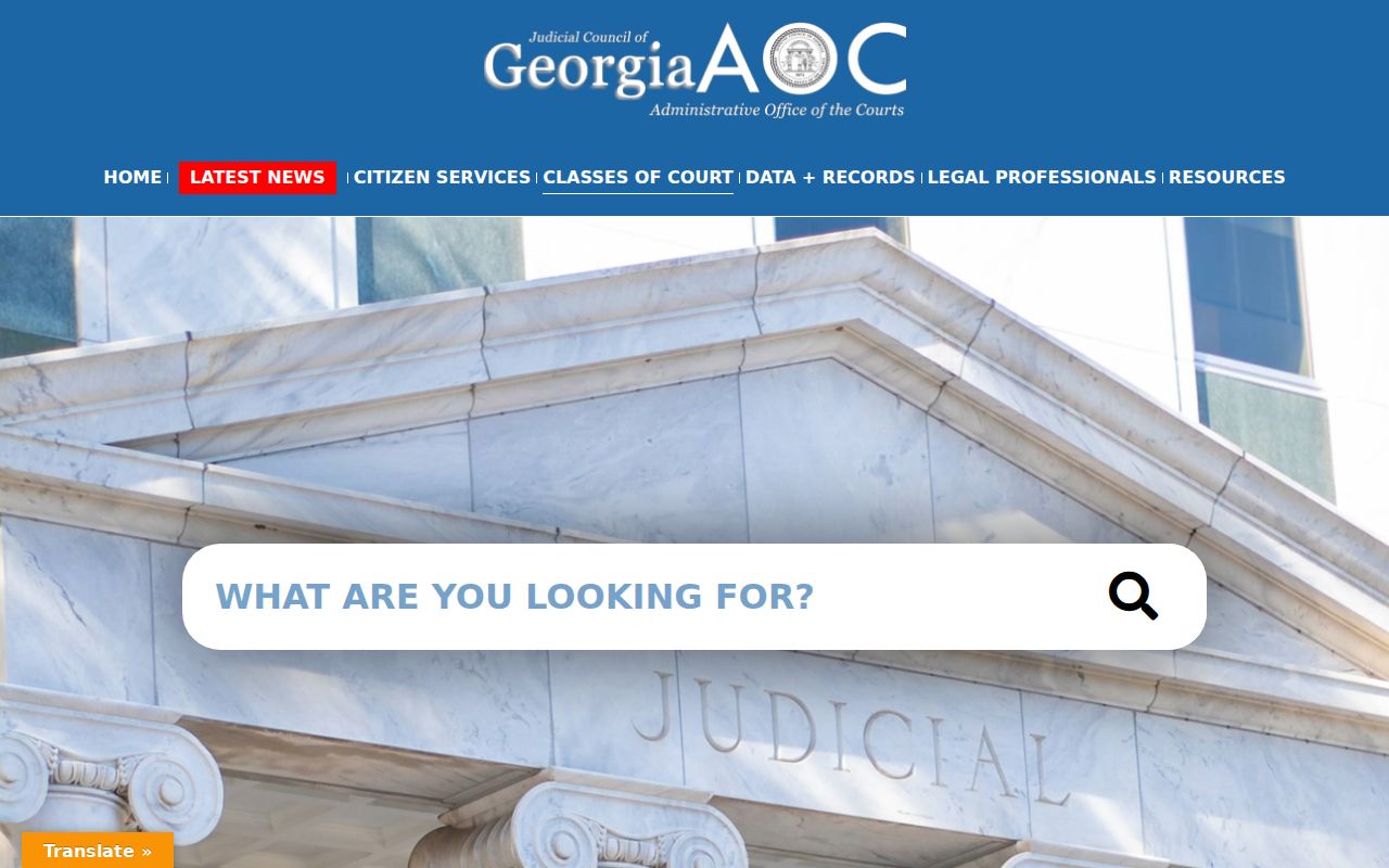 Chattahoochee County case search reference showing Georgia court classes